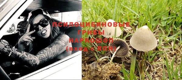 прущие грибы Арсеньев