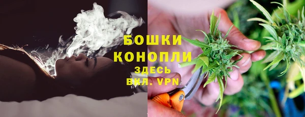 ГАЛЛЮЦИНОГЕННЫЕ ГРИБЫ Аркадак