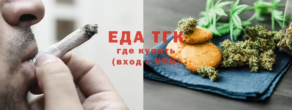 шишки Слюдянка