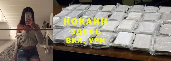 ГАЛЛЮЦИНОГЕННЫЕ ГРИБЫ Аркадак