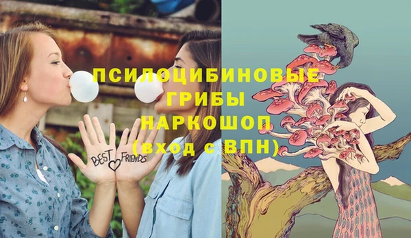 прущие грибы Арсеньев