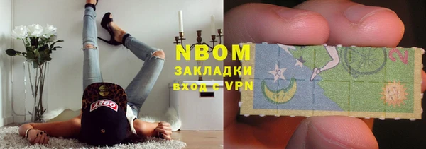 прущие грибы Арсеньев