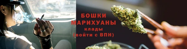 ГАЛЛЮЦИНОГЕННЫЕ ГРИБЫ Аркадак