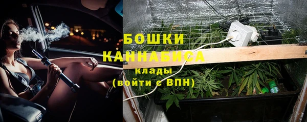 прущие грибы Арсеньев