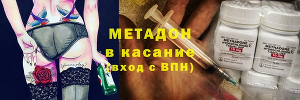 прущие грибы Арсеньев
